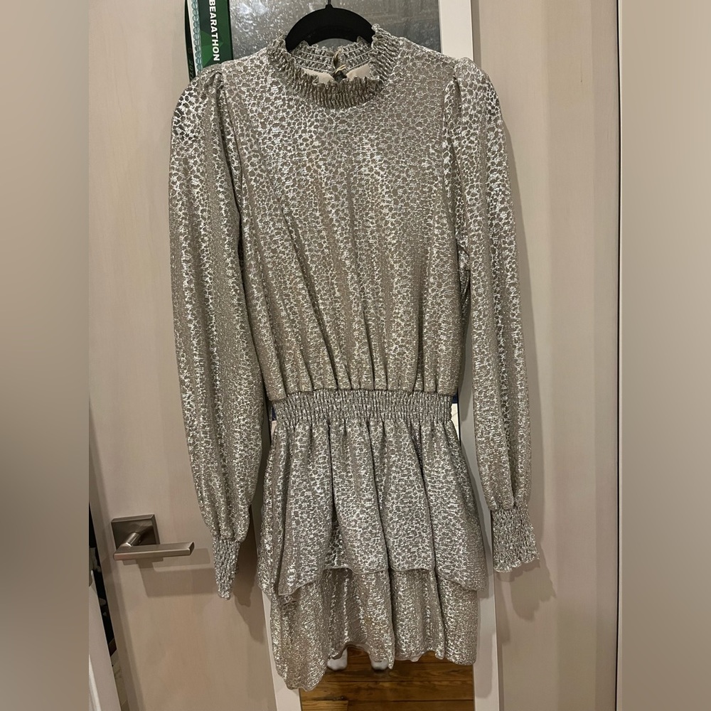 shiny, silver dress